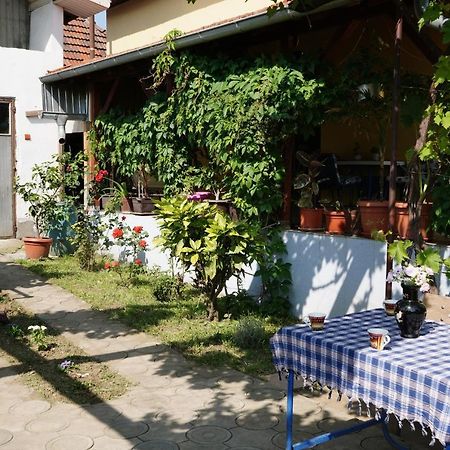 Ferienwohnung Etnobubi Novi Sip Exterior foto