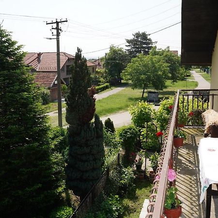 Ferienwohnung Etnobubi Novi Sip Exterior foto
