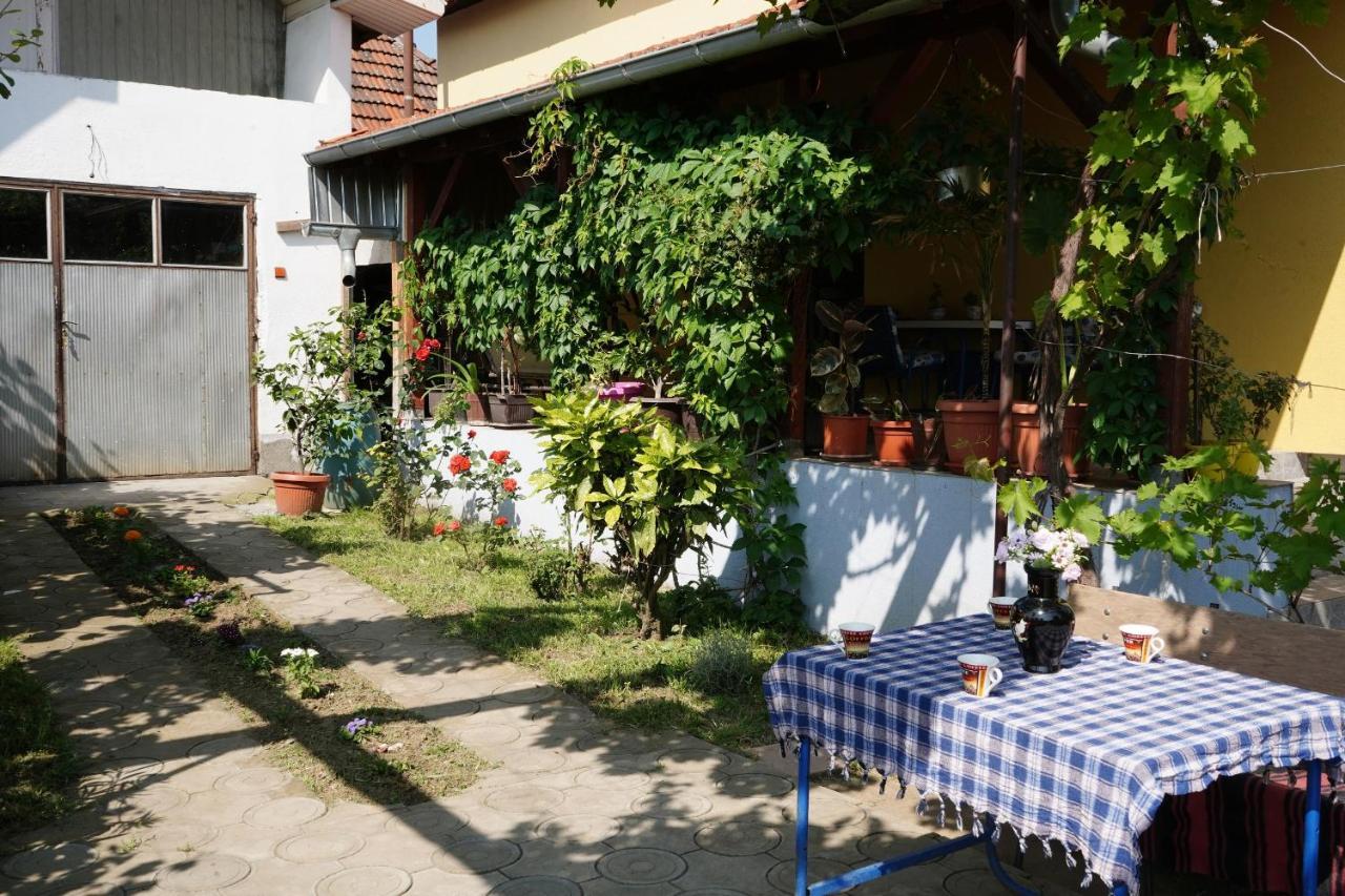 Ferienwohnung Etnobubi Novi Sip Exterior foto