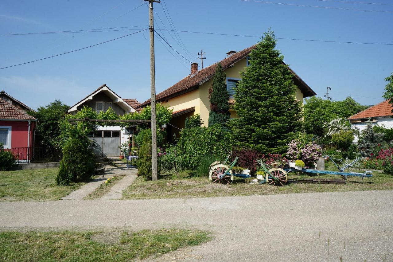Ferienwohnung Etnobubi Novi Sip Exterior foto
