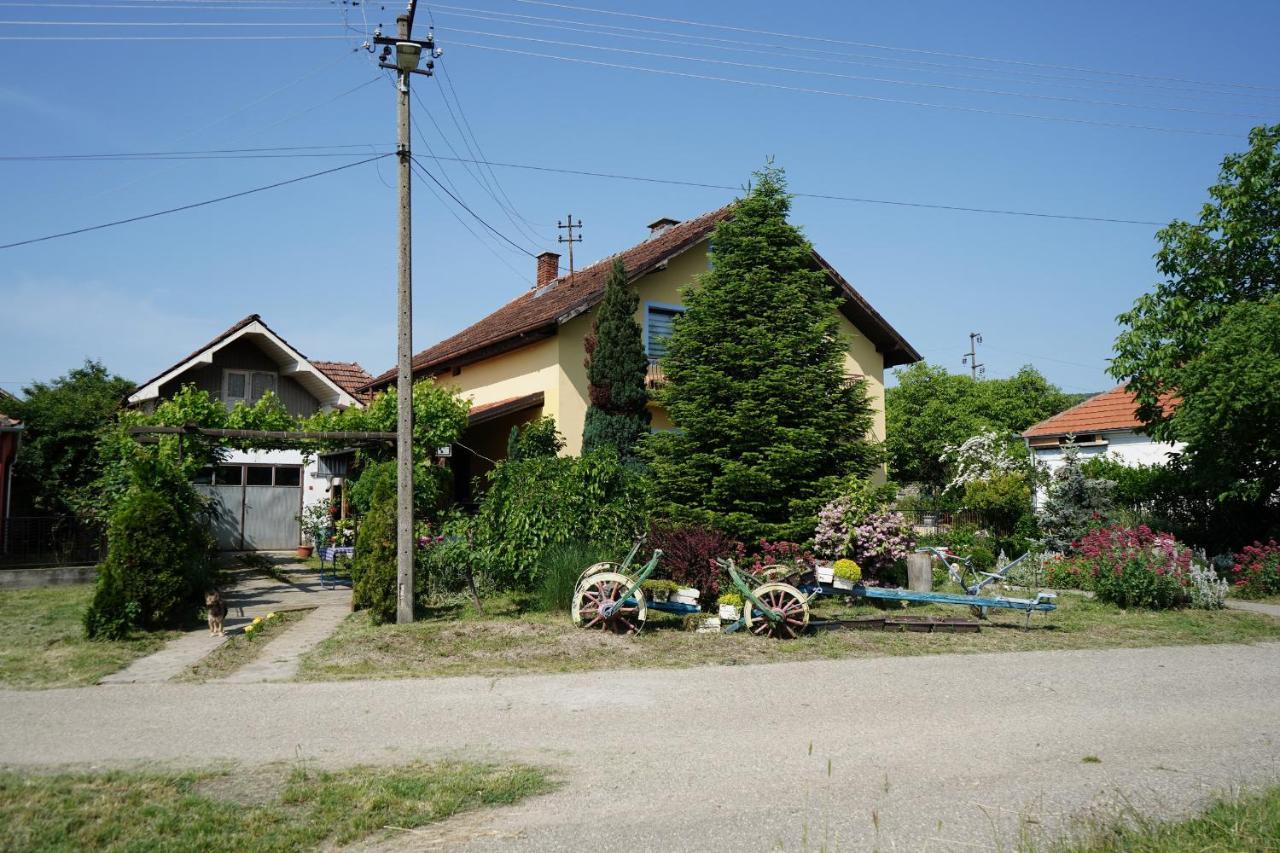 Ferienwohnung Etnobubi Novi Sip Exterior foto