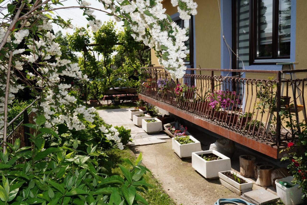 Ferienwohnung Etnobubi Novi Sip Exterior foto